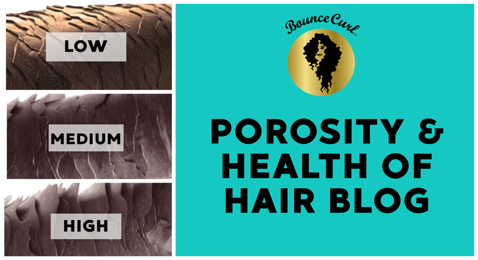 3 Different Hair Porosity Types + Tips for Each