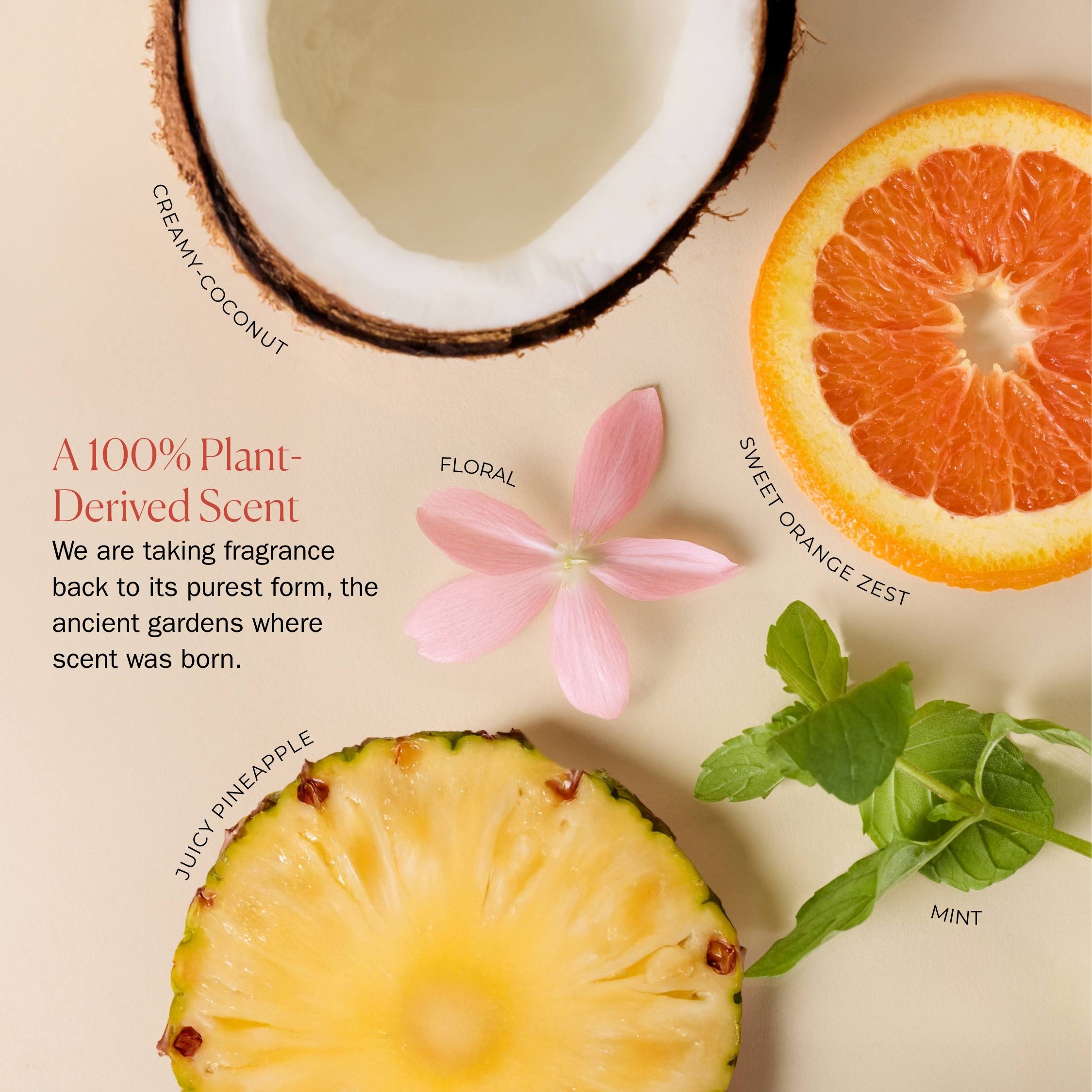 Fruits and a flower on a beige background with text about plant-derived scents.