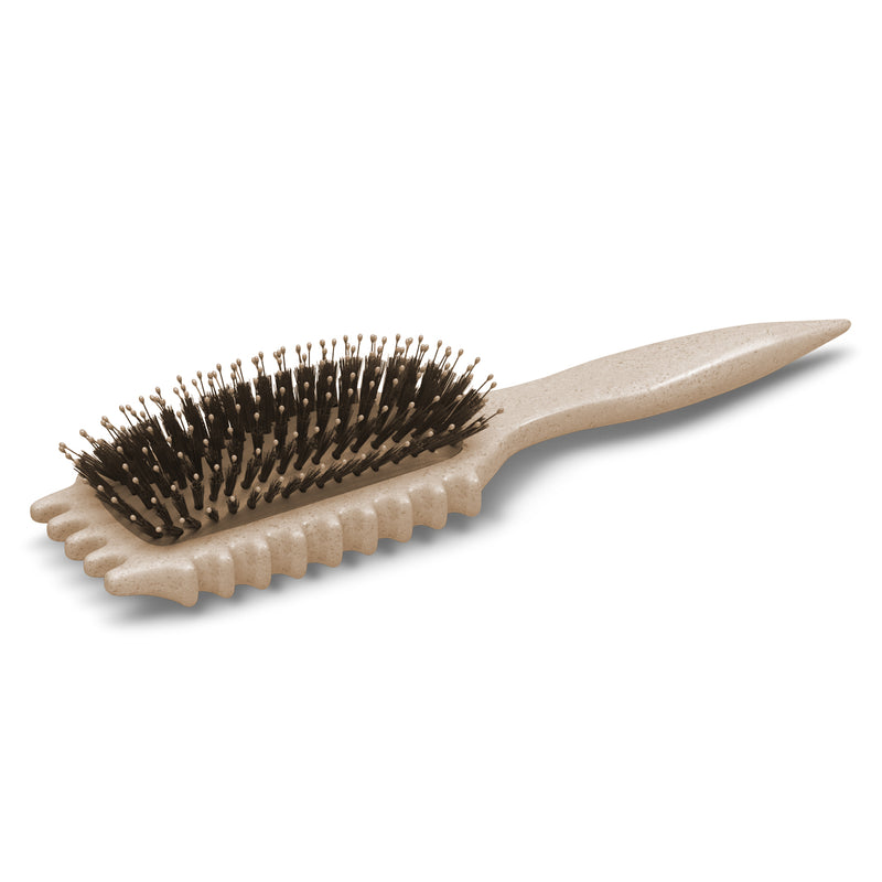 Define EdgeLift Brush